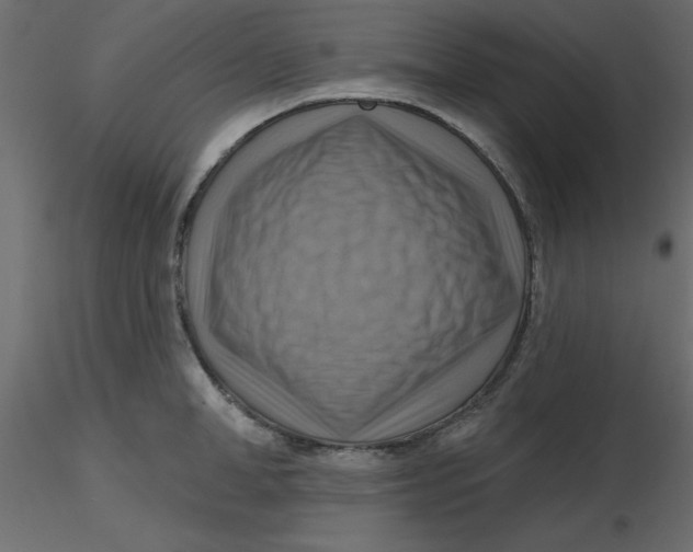 X0000116550998200912311908