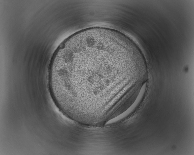 X0000116550999200912311908