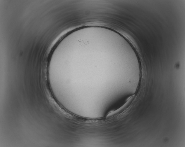 X0000116551000200912311908