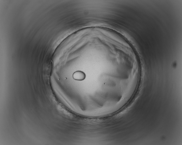 X0000116551001200912311908