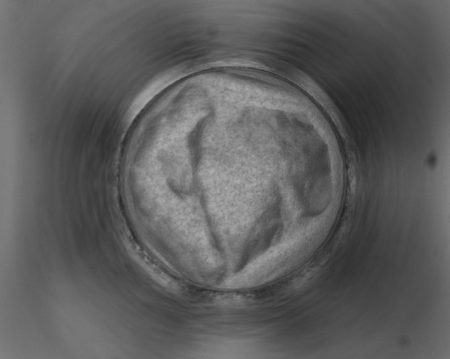 X0000116551002200912311908