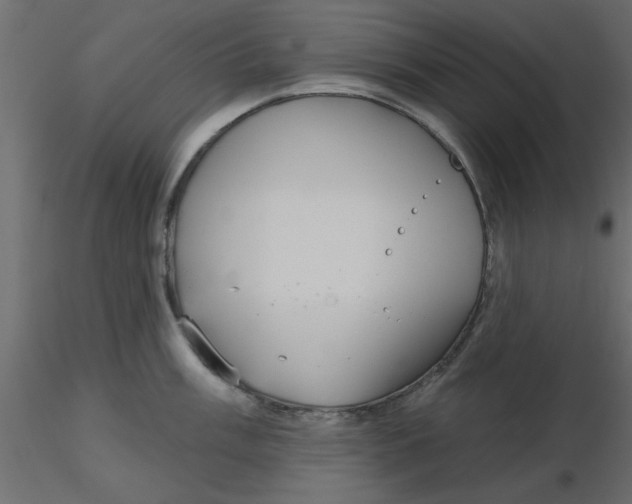 X0000116551003200912311908