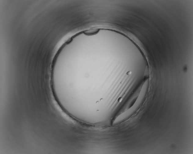 X0000116551005200912311907