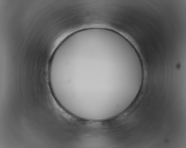 X0000116551006200912311907