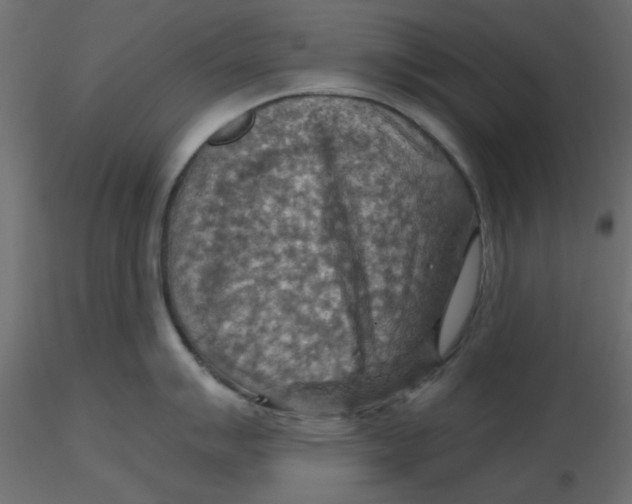 X0000116551007200912311907