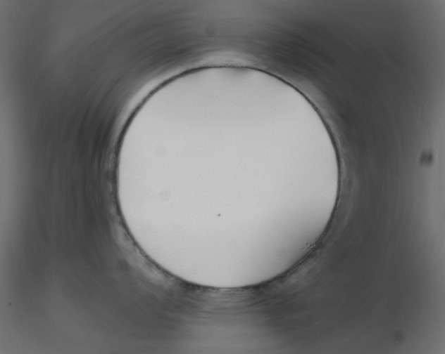 X0000116551008200912311907