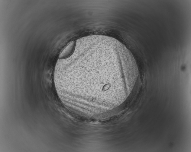 X0000116551010200912311907