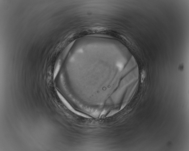 X0000116551011200912311907