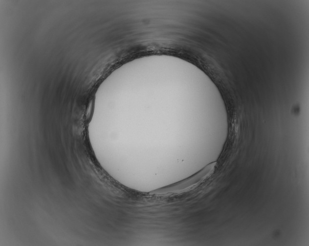 X0000116551012200912311907