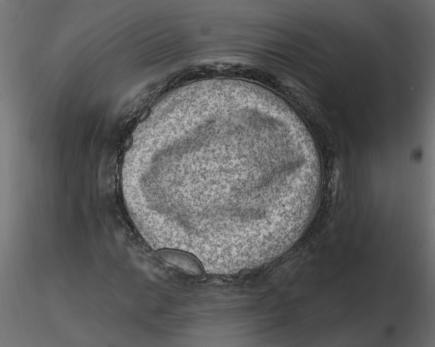 X0000116551014200912311907