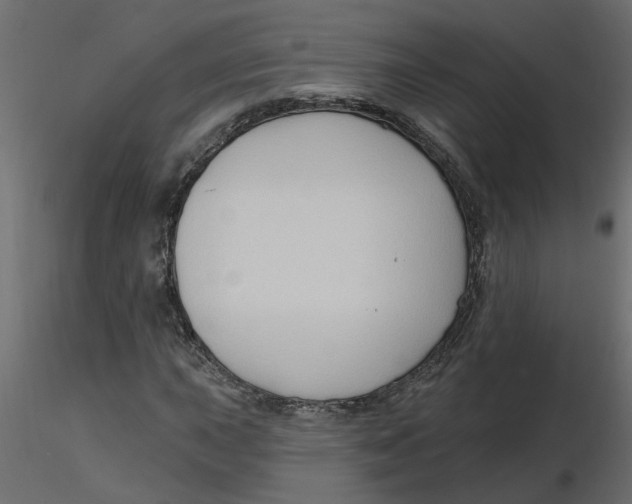 X0000116551015200912311907