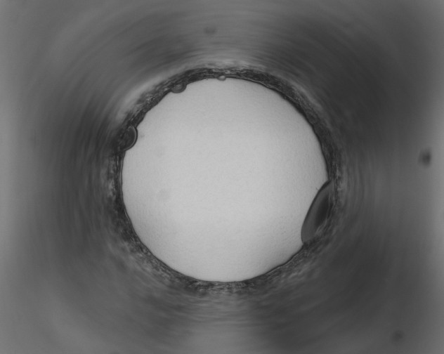 X0000116551016200912311907