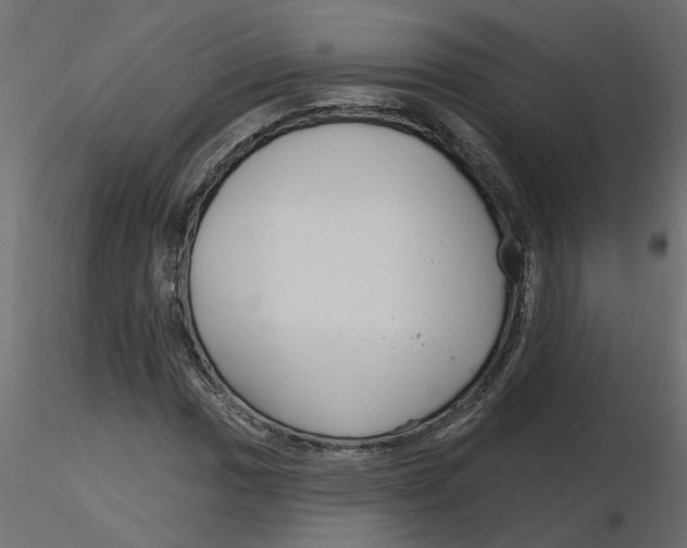 X0000116551017200912311907