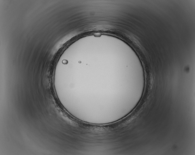 X0000116551018200912311907