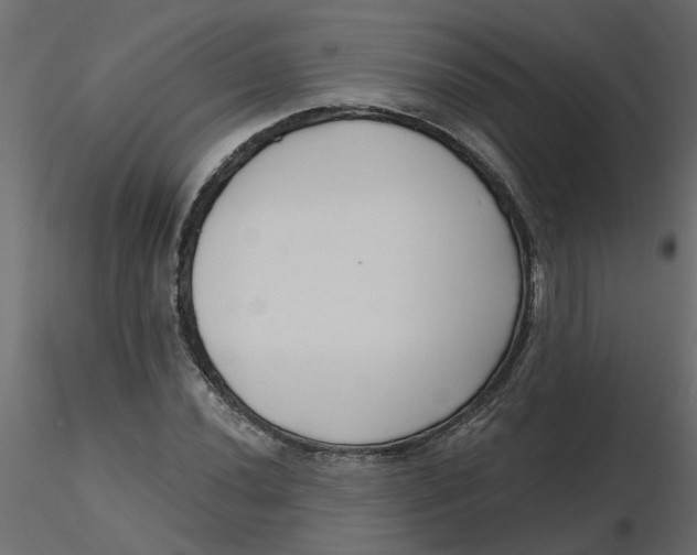 X0000116551020200912311907