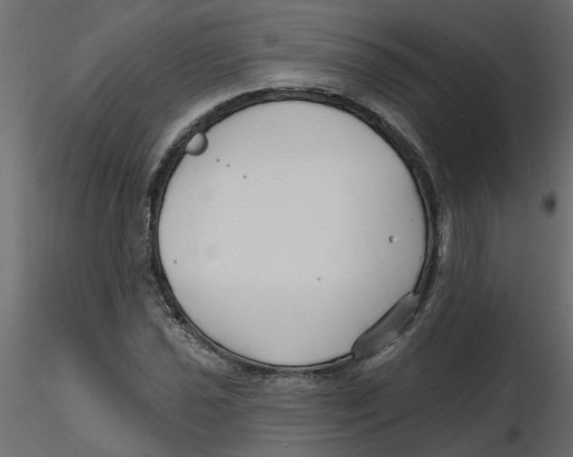 X0000116551021200912311907