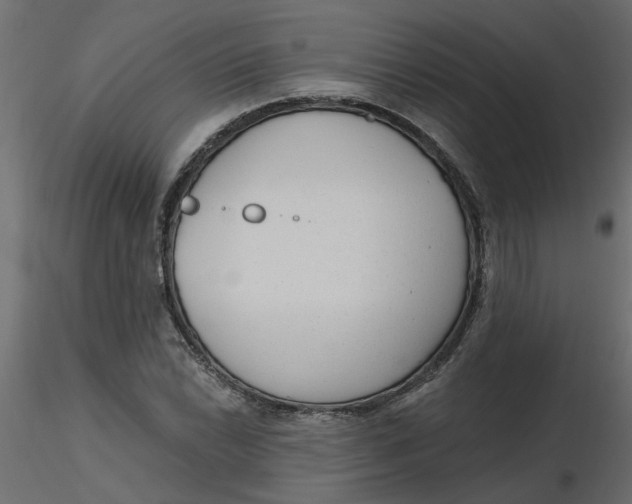 X0000116551022200912311907