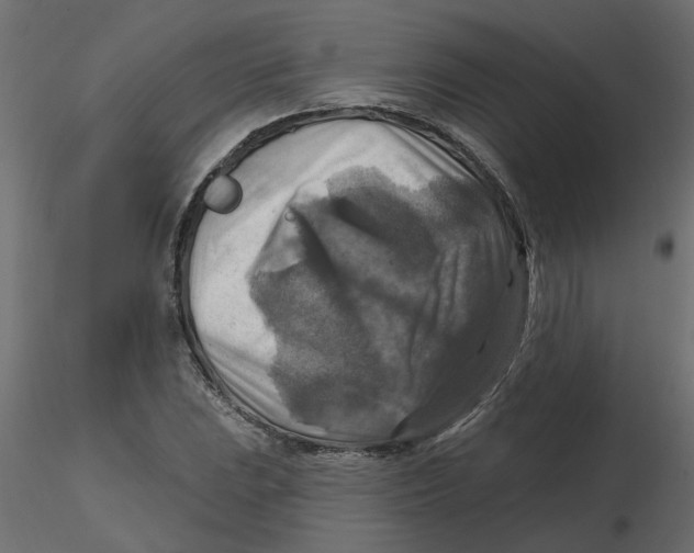 X0000116551023200912311907