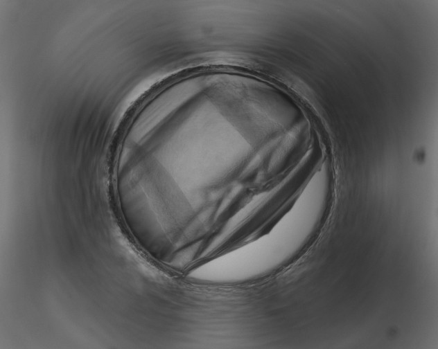 X0000116551024200912311907