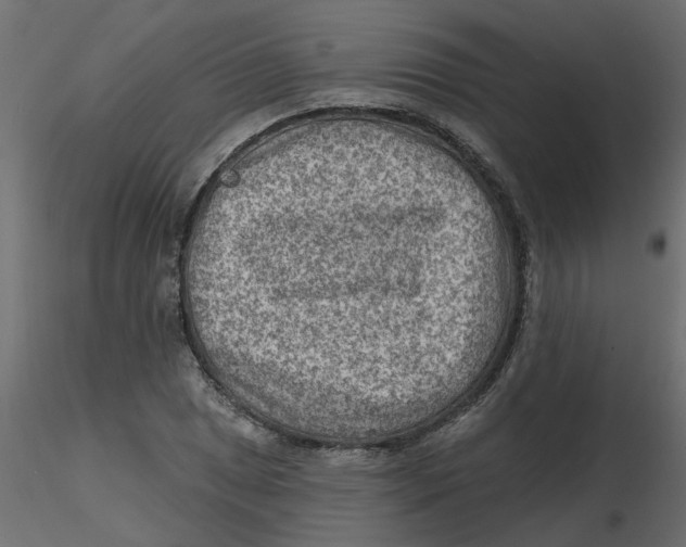 X0000116551025200912311907