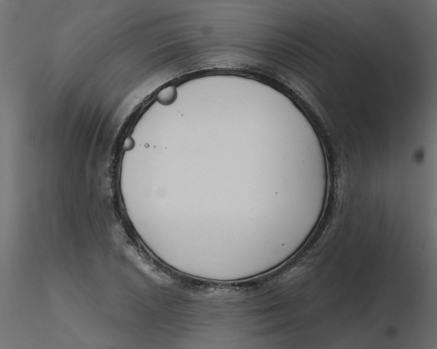 X0000116551026200912311907