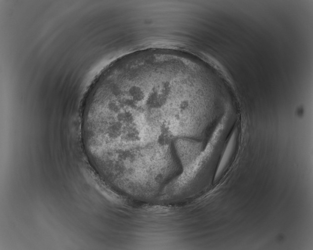 X0000116551027200912311907