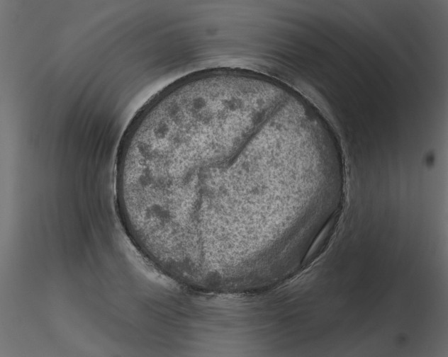 X0000116551028200912311907