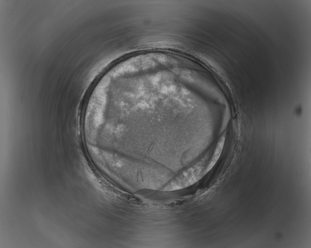 X0000116551031200912311907