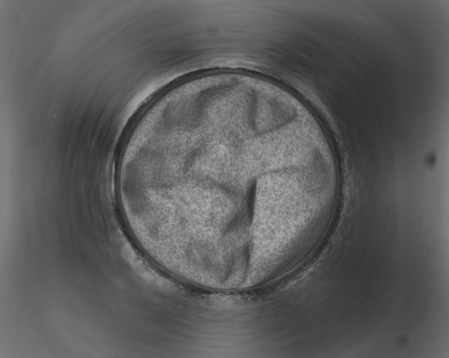 X0000116551032200912311907