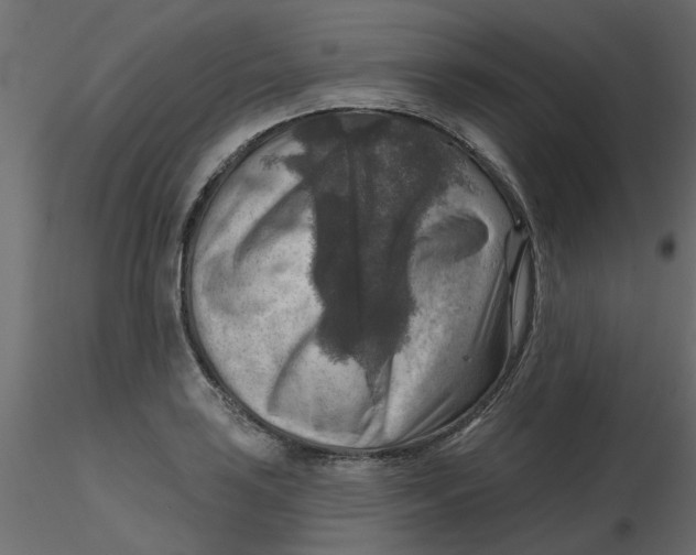 X0000116551035200912311907