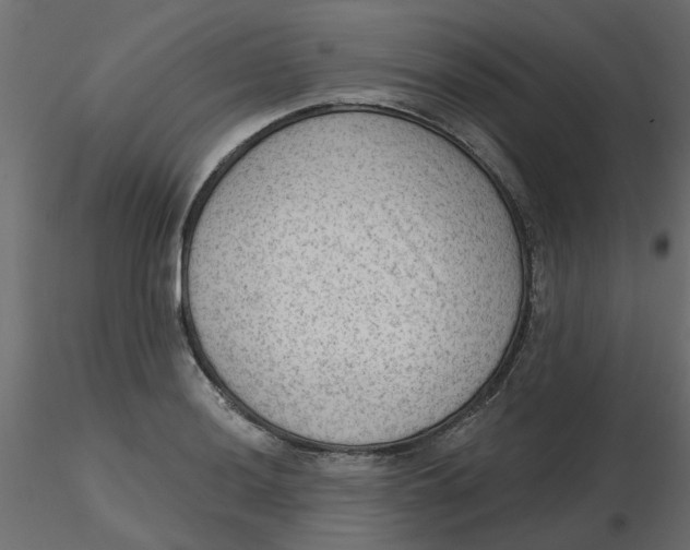 X0000116551036200912311907