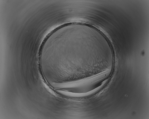 X0000116551037200912311907