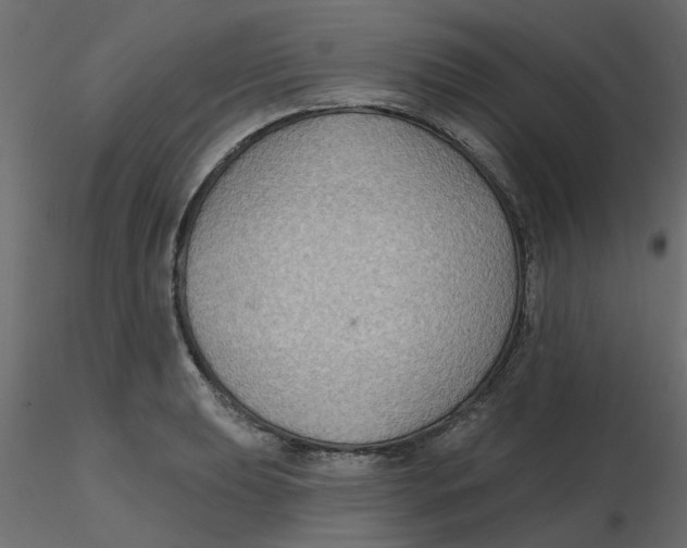 X0000116551039200912311907