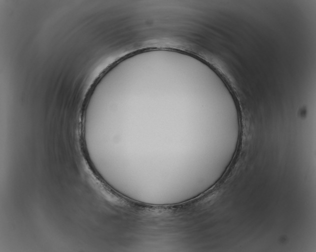 X0000116551040200912311907