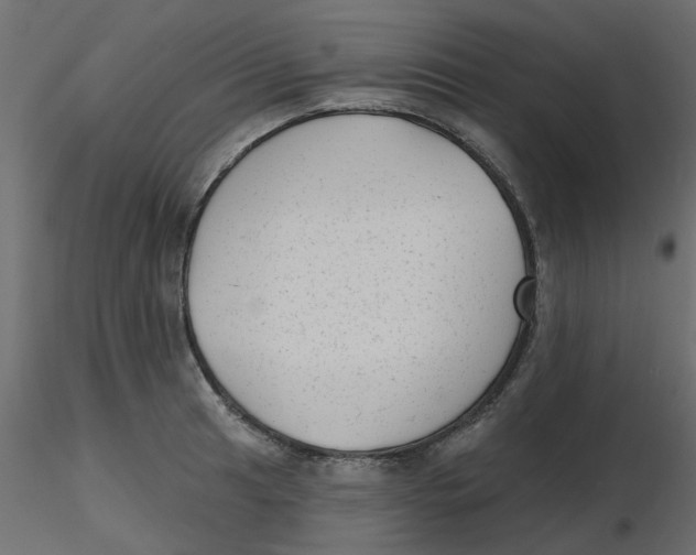 X0000116551041200912311907