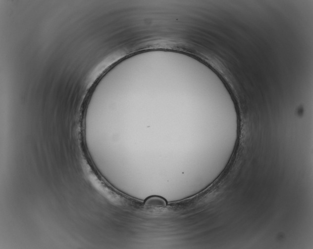 X0000116551042200912311907