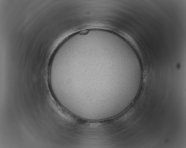 X0000116551043200912311907