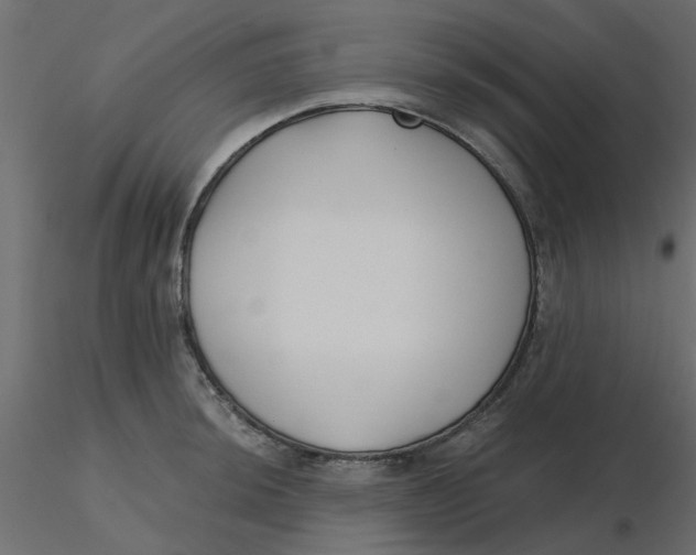 X0000116551044200912311907