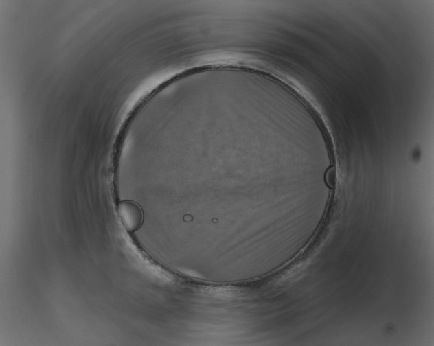 X0000116551045200912311907