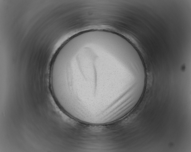 X0000116551046200912311907