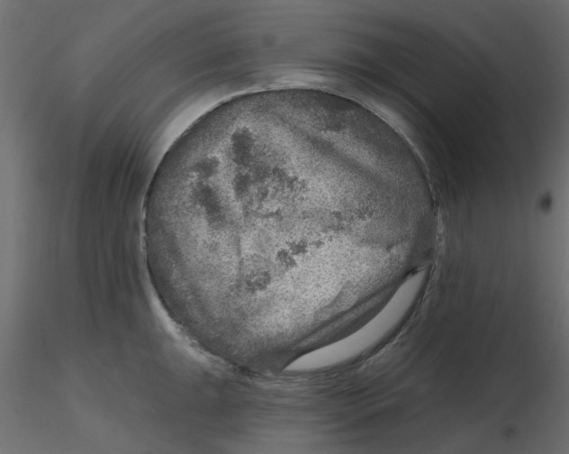 X0000116551047200912311907