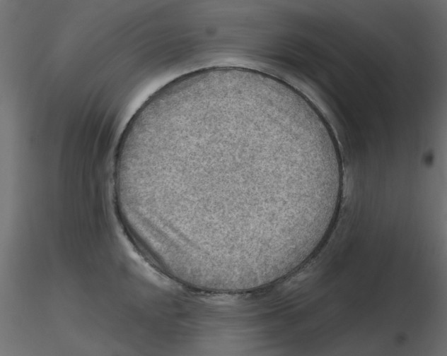 X0000116551048200912311907