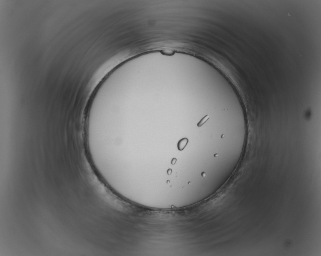 X0000116551050200912311907