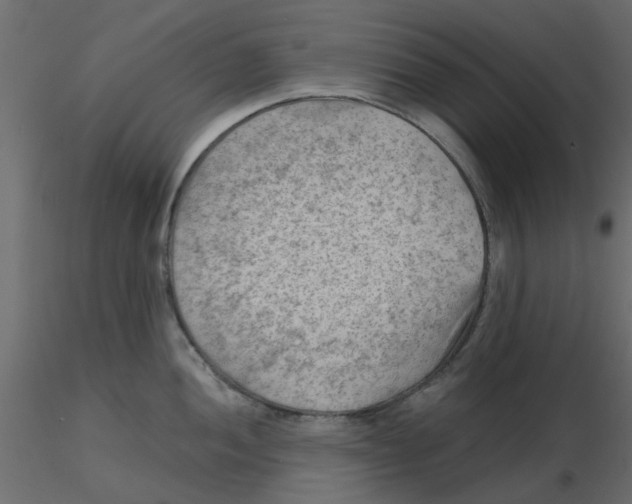 X0000116551052200912311907