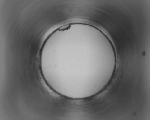 X0000116551053200912311907