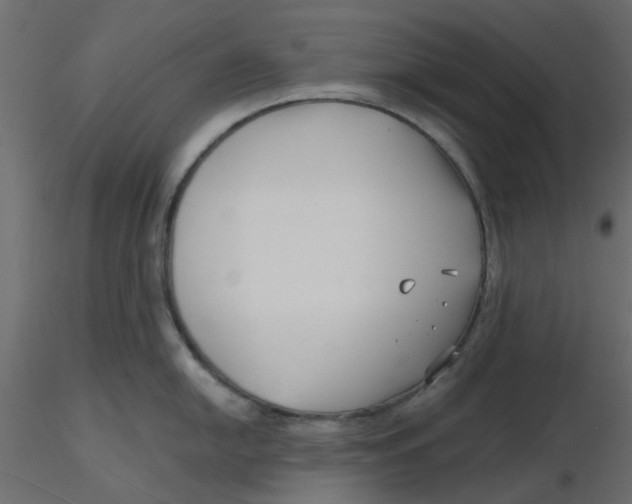 X0000116551054200912311907