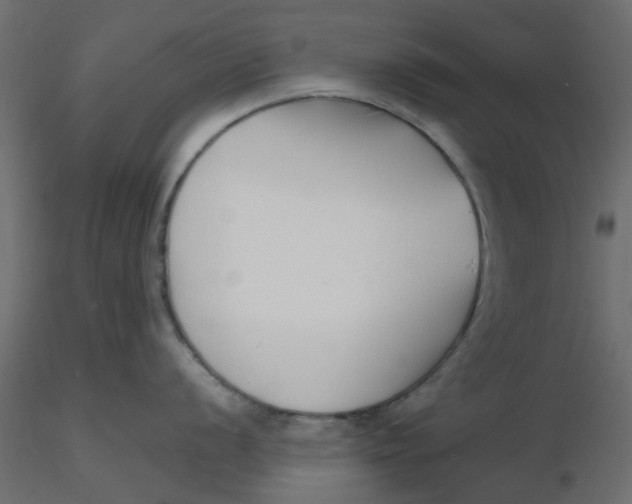 X0000116551056200912311907