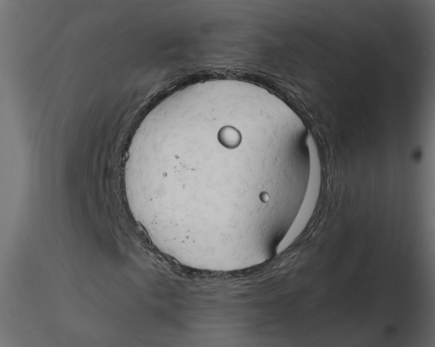 X0000116551057200912311907