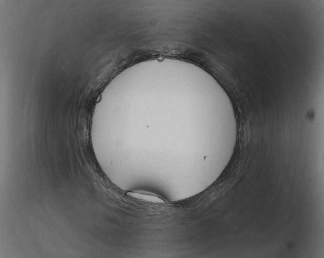 X0000116551058200912311907