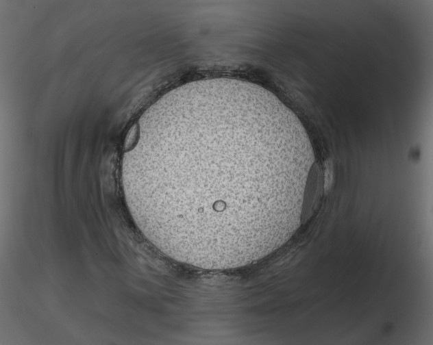 X0000116551059200912311907